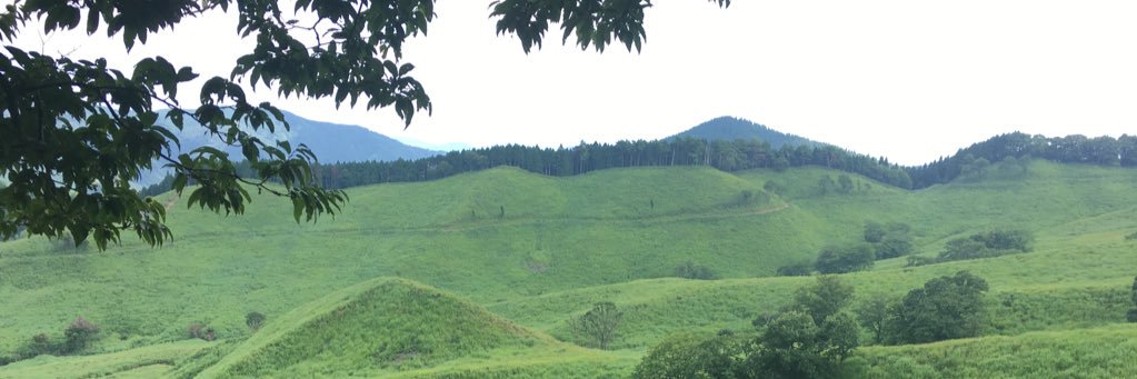 ケバブ大吾｜脚本家・イベント統括・クラファンアドバイザー banner