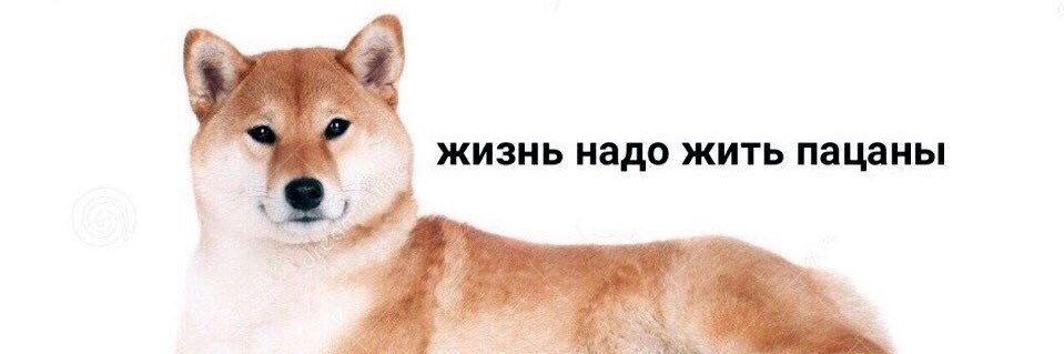_Ann_Shim_'s profile banner image