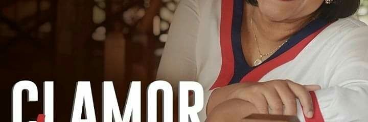 Salette Ferreira banner