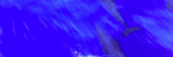 KBotwright Profile Banner