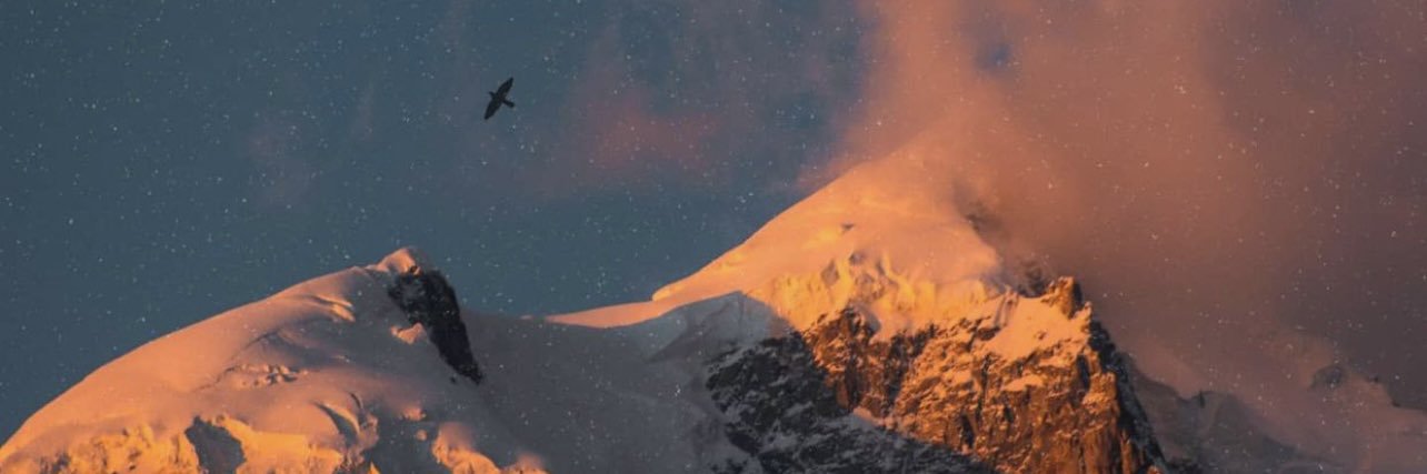 birdofpassageee's profile banner image