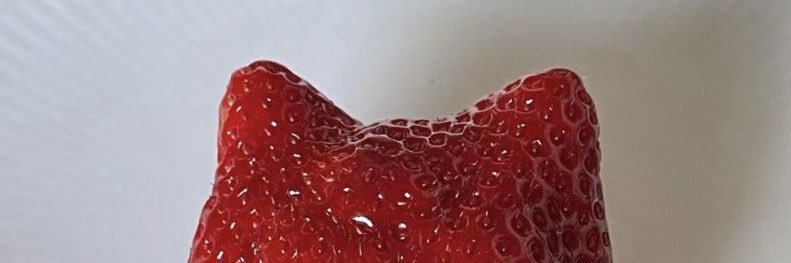 tinyflowersy's profile banner image