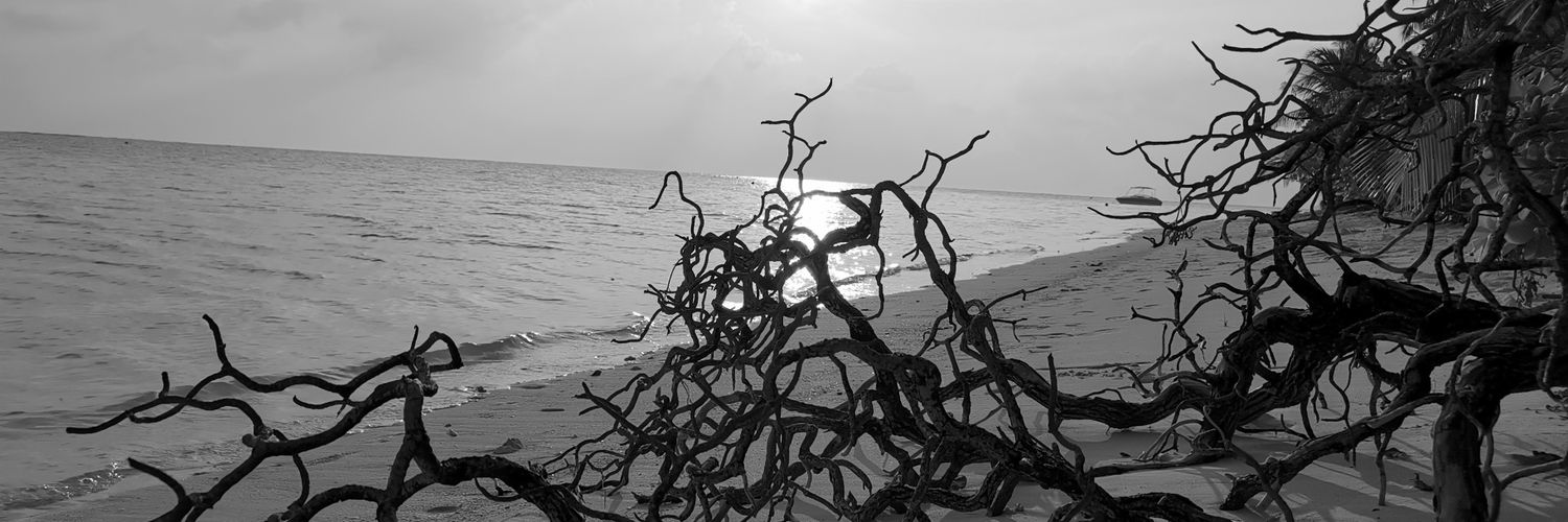 kolda_70's profile banner image