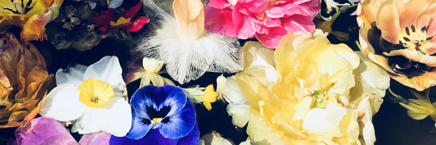 LucyGrooves's profile banner image
