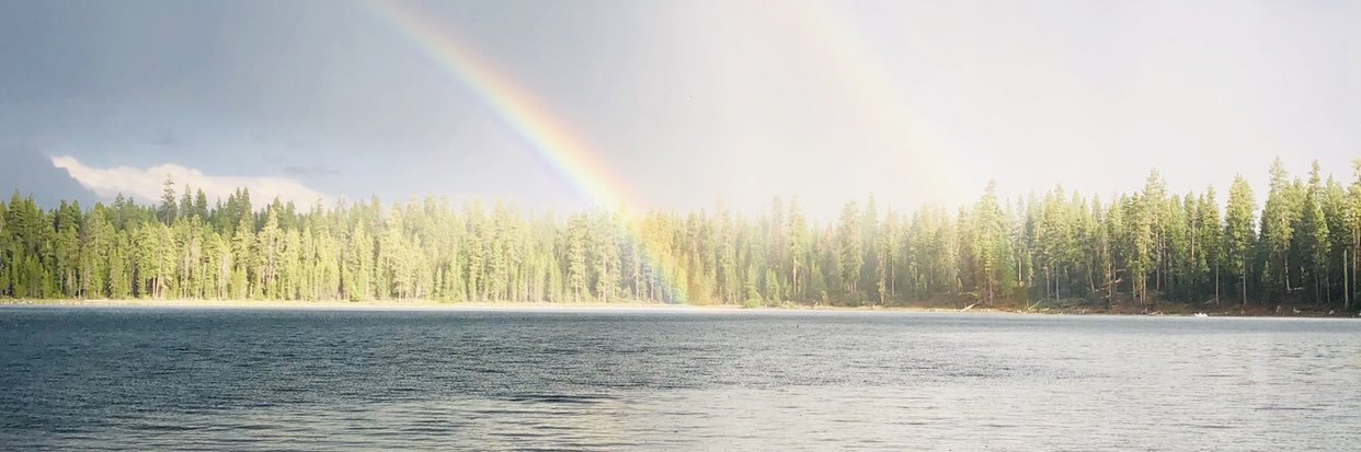 ivelissecamach1's profile banner image