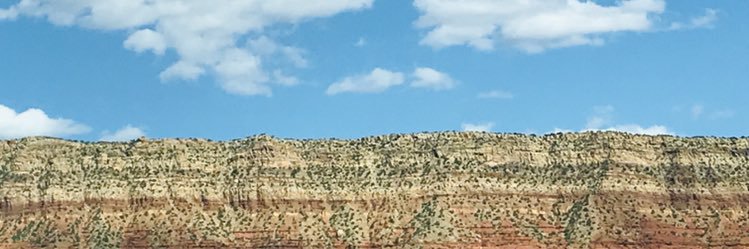 Zachary Cohen banner