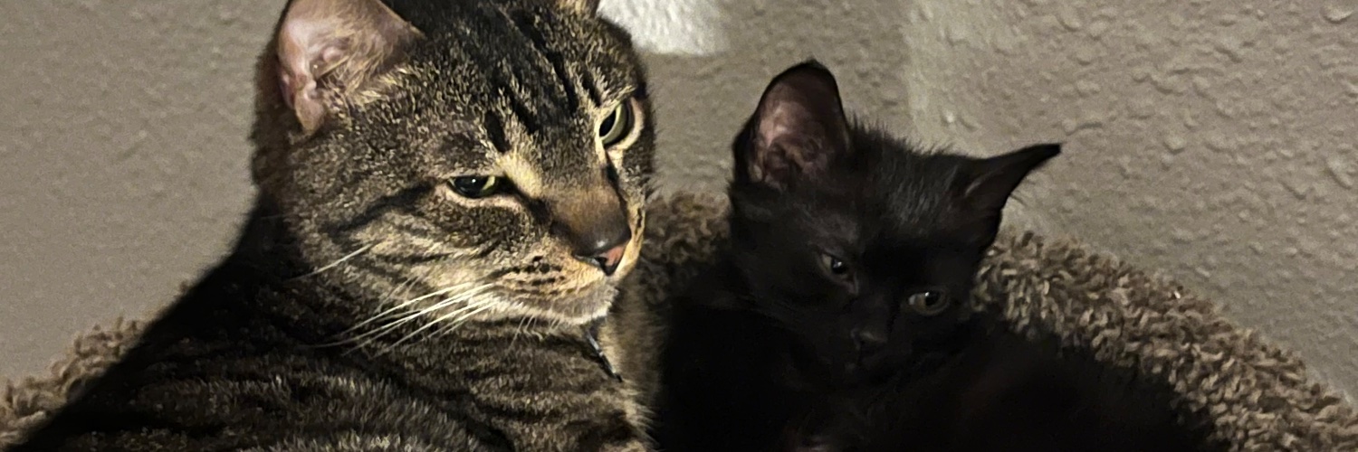 desthehershey's profile banner image