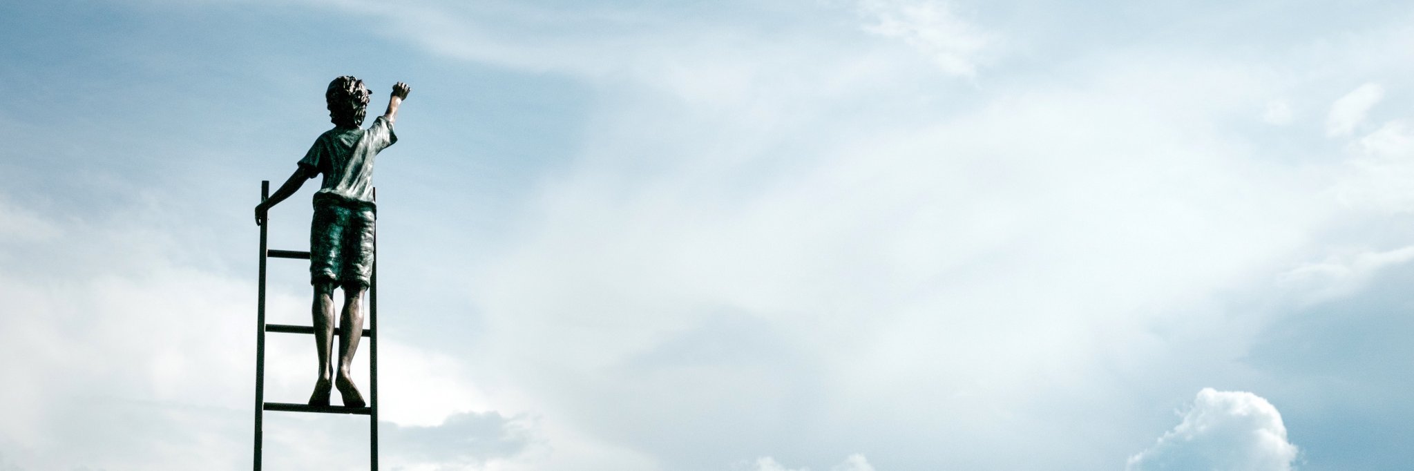 Amy Cutter-Mackenzie banner