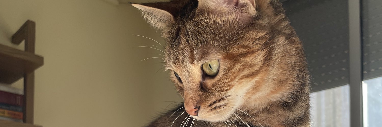 Carlx74G's profile banner image