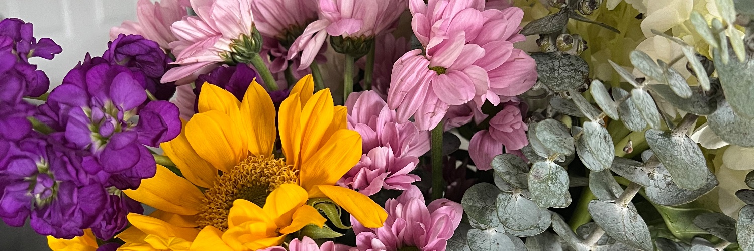 emilydiroma's profile banner image