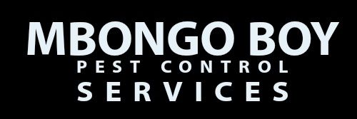 MbongoMw's profile banner image