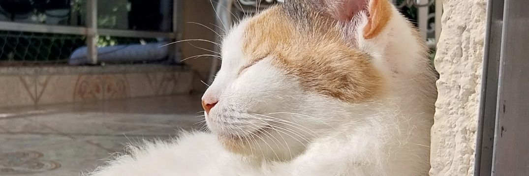 valeryvaz's profile banner image
