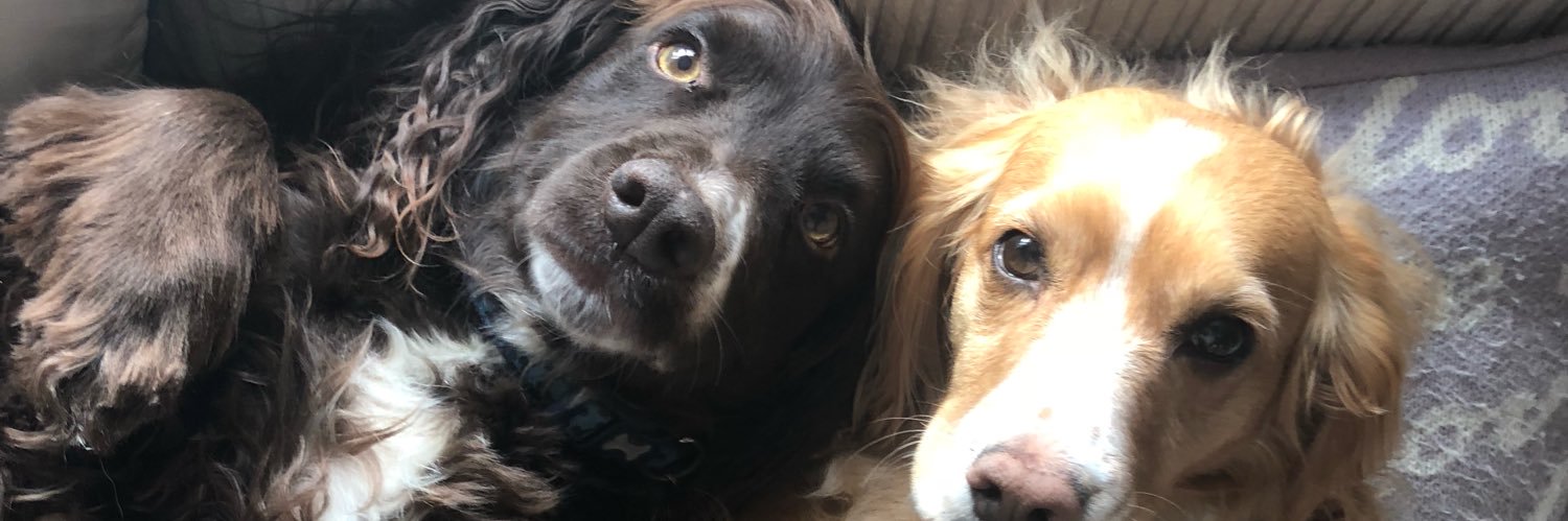BethCarpenterr's profile banner image