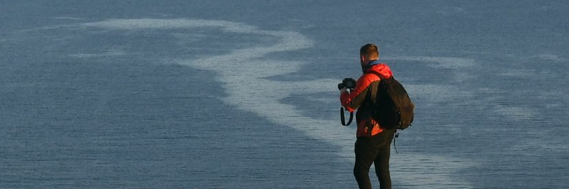 ChrisWill98's profile banner image