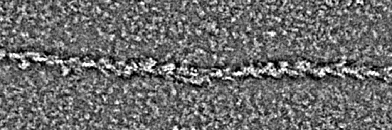 Krishna Chinthalapudi banner