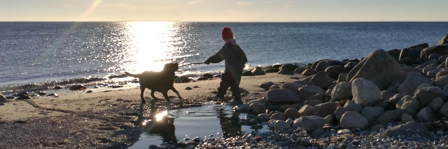 Mette8305's profile banner image