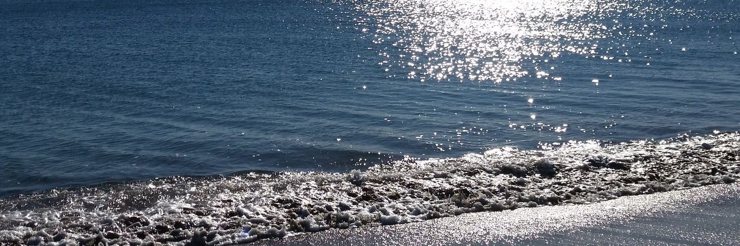 SweetxoPea's profile banner image