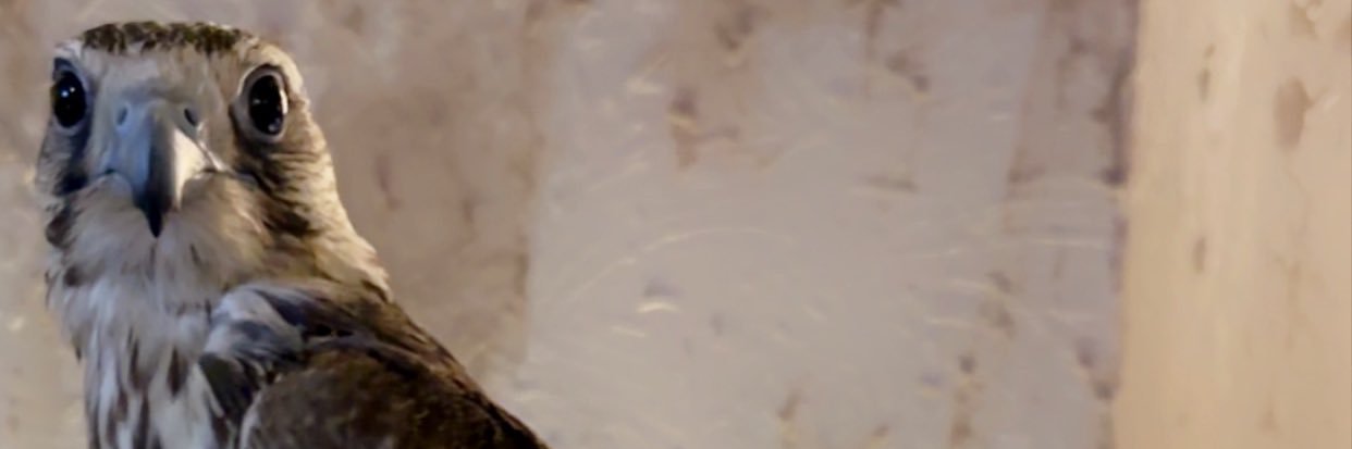 KHALED banner