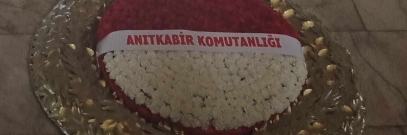 gultekinduzel's profile banner image