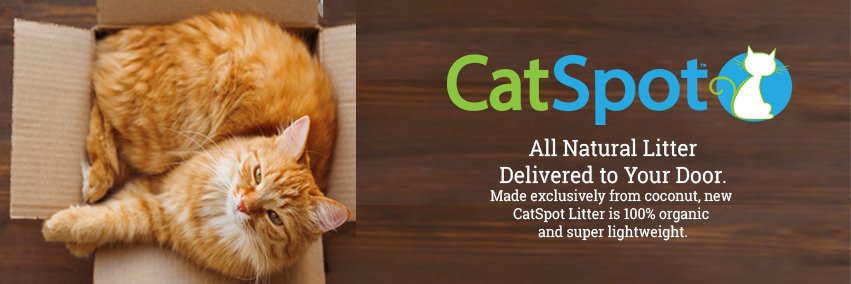 CatSpot banner