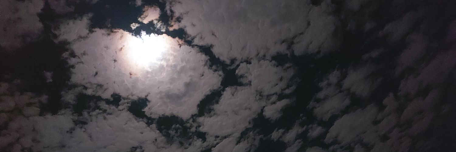 THAER982's profile banner image