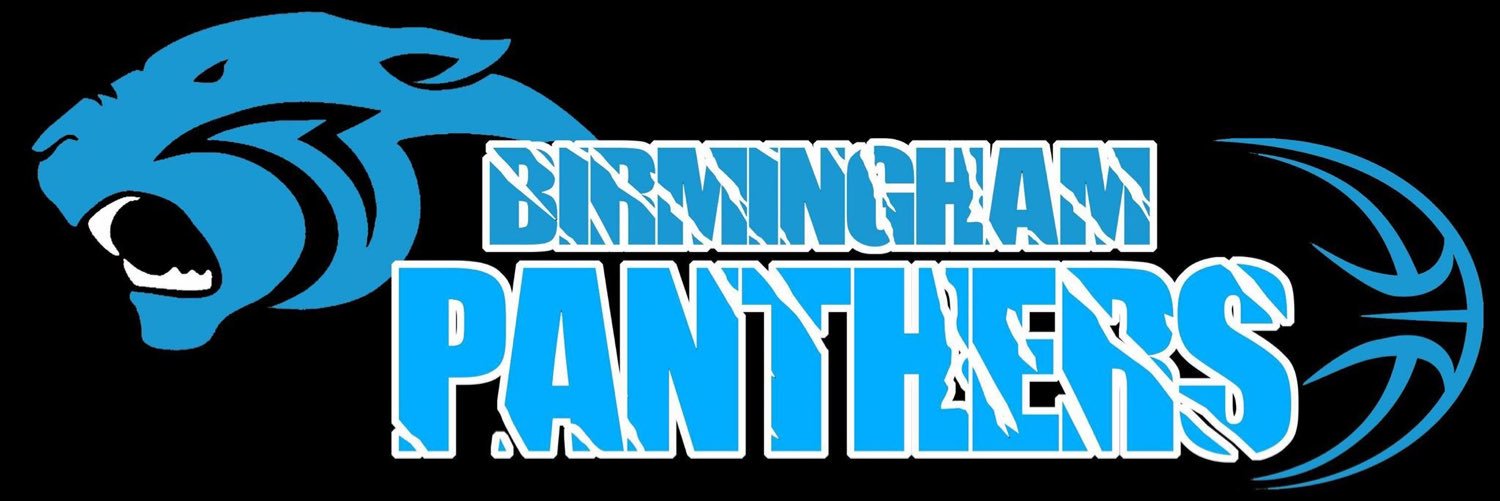 Birmingham Panthers banner