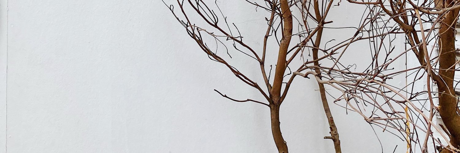 🦋 banner