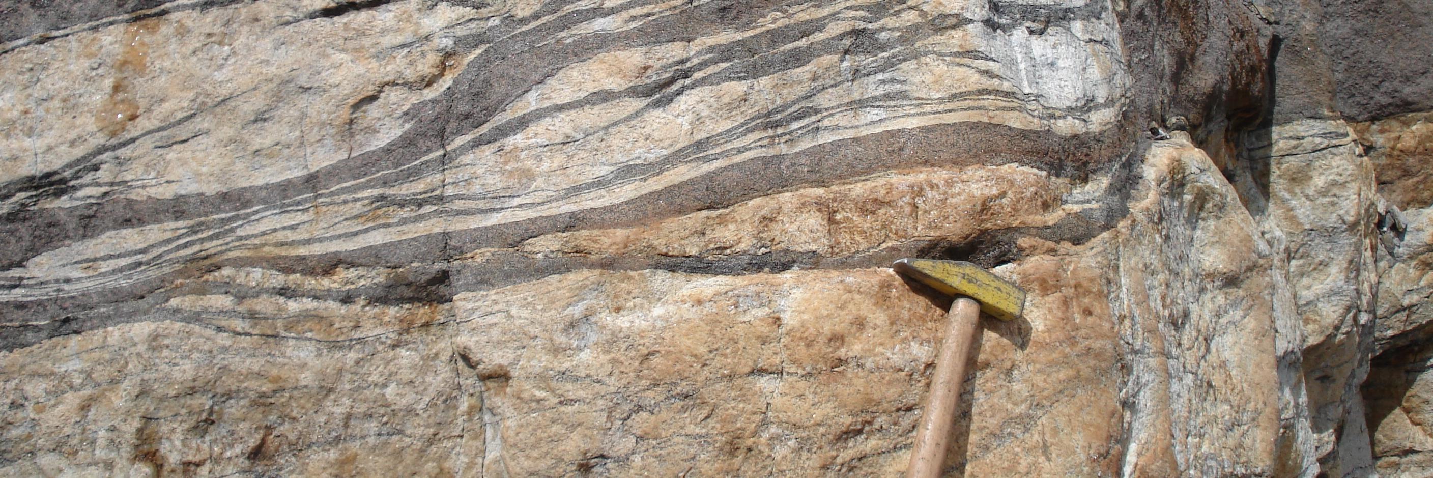 QuidbartBradvantonio banner