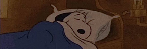 paulabaraz Profile Banner