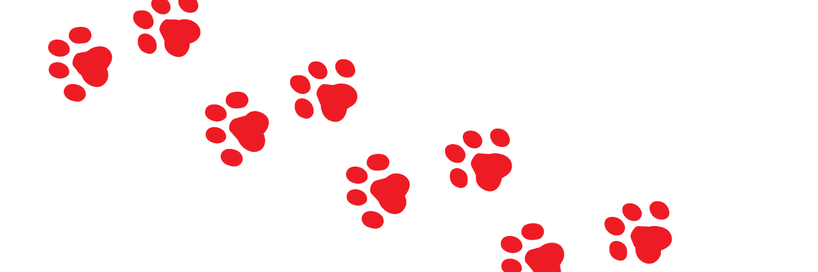 じみぃ.kja77 banner