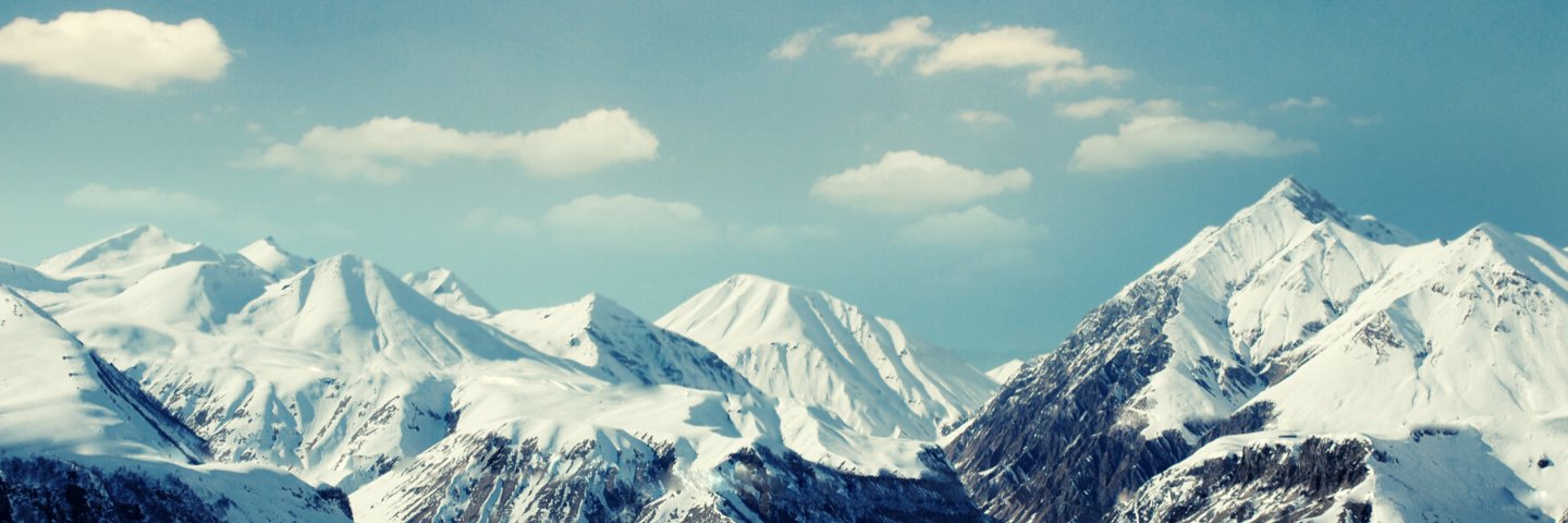 Allison Schafer banner