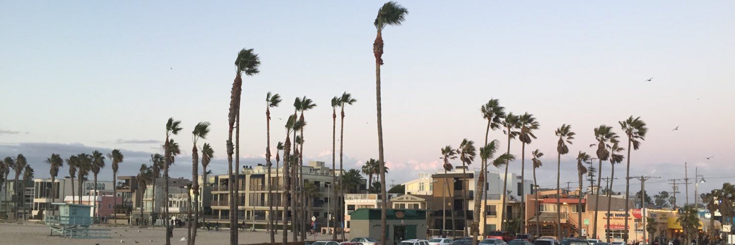 Allison Murray banner