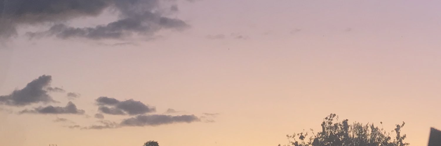LilsFaye's profile banner image