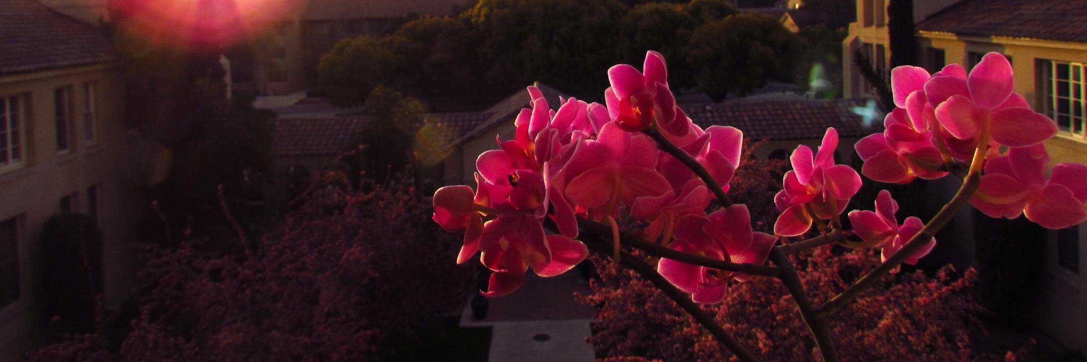 Meixsel's profile banner image