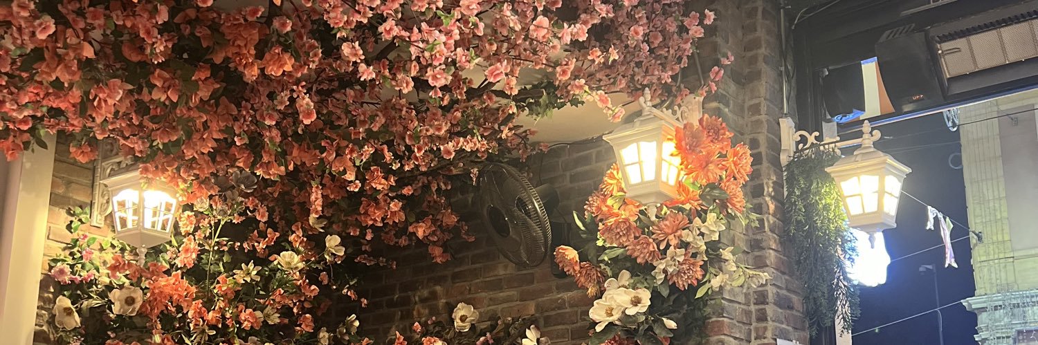 slnygzz's profile banner image