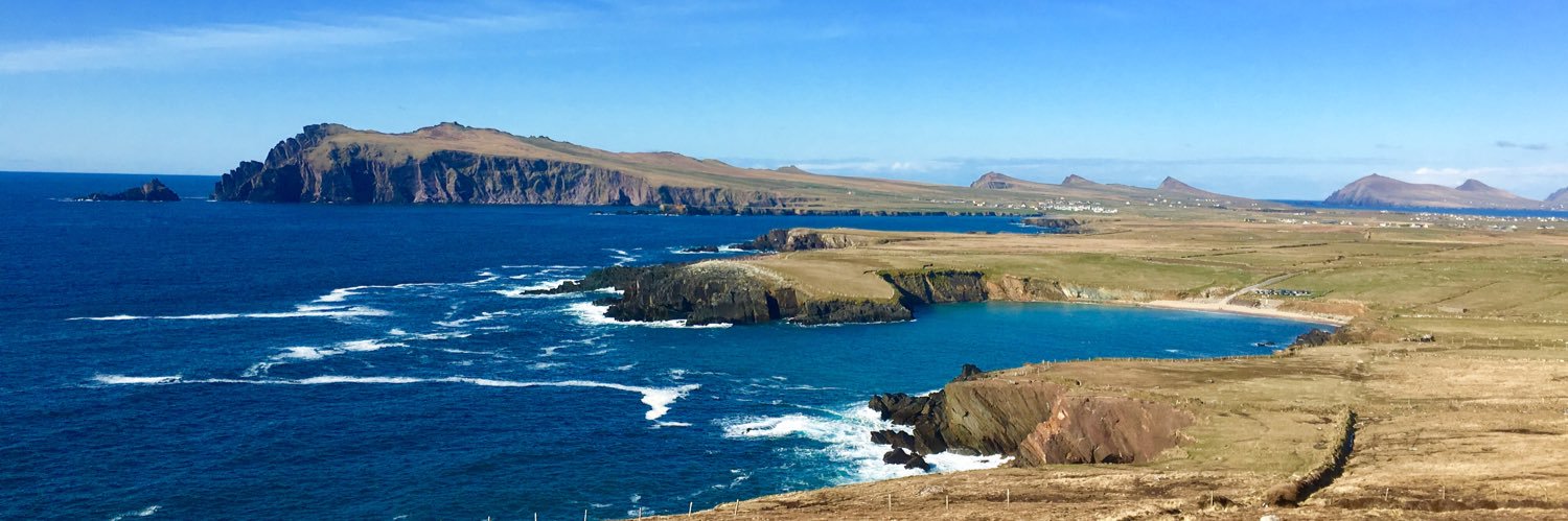 John FitzGerald banner