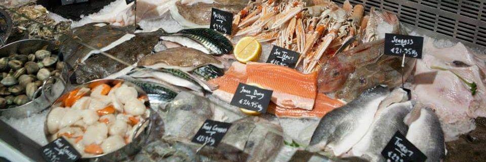 GeorgesFishShop's profile banner image