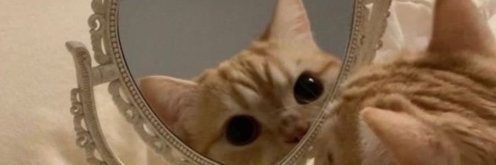 icarusus_'s profile banner image
