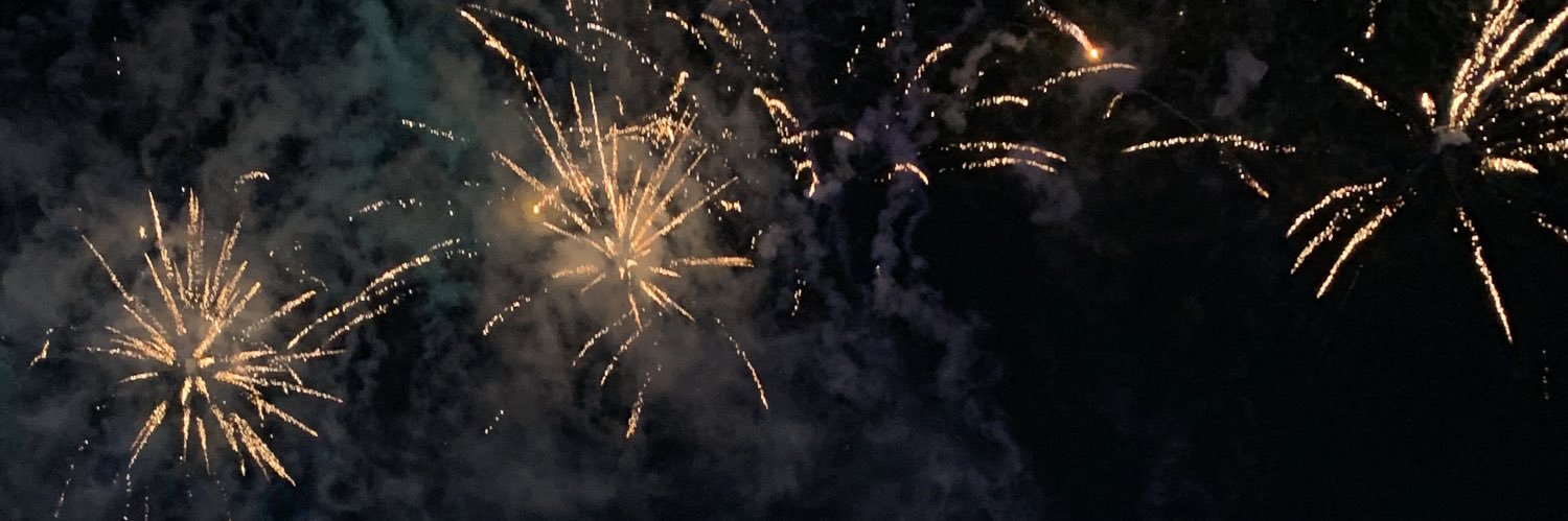 Aly banner