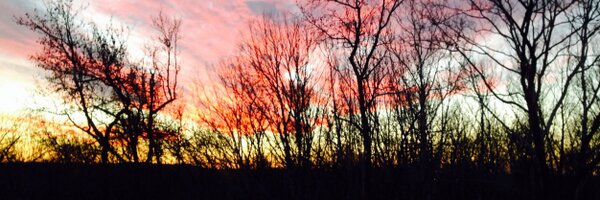 larelancede Profile Banner