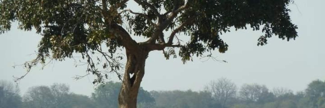 kendals_tweets's profile banner image