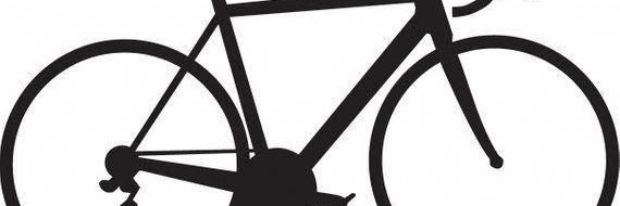 Shannon Trainer banner
