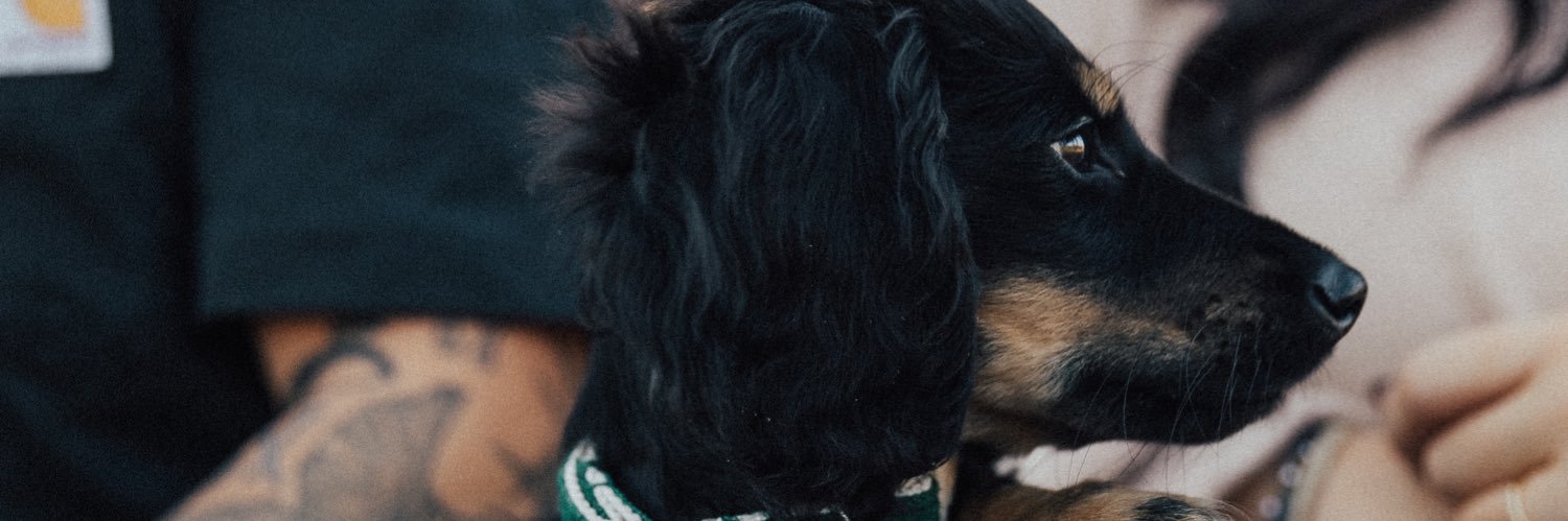 rylee_branham's profile banner image