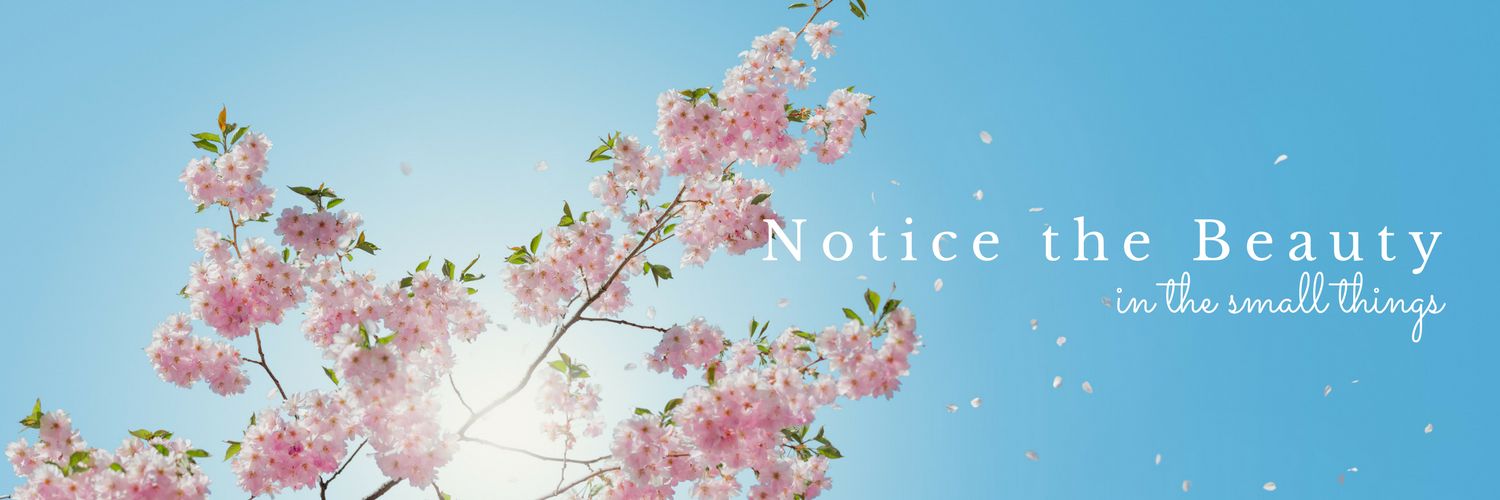 amanda_hakes's profile banner image
