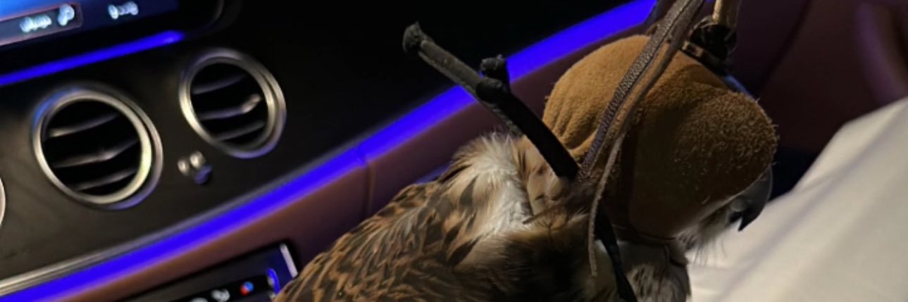 5__e1's profile banner image