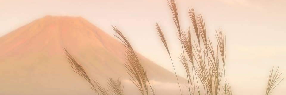 パワフルちー(失敗したムロツ◯シ) banner