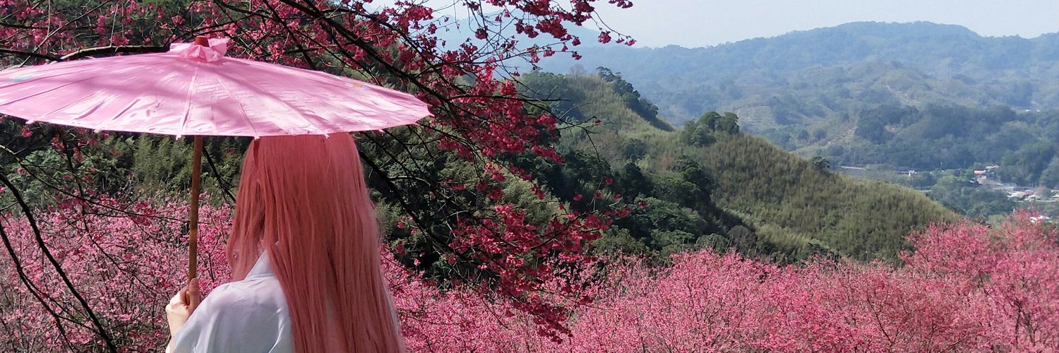 普利尼 banner