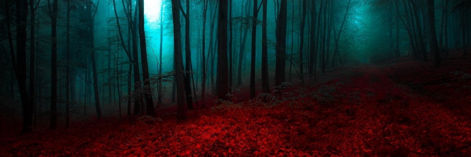 r_Sh4d0w's profile banner image
