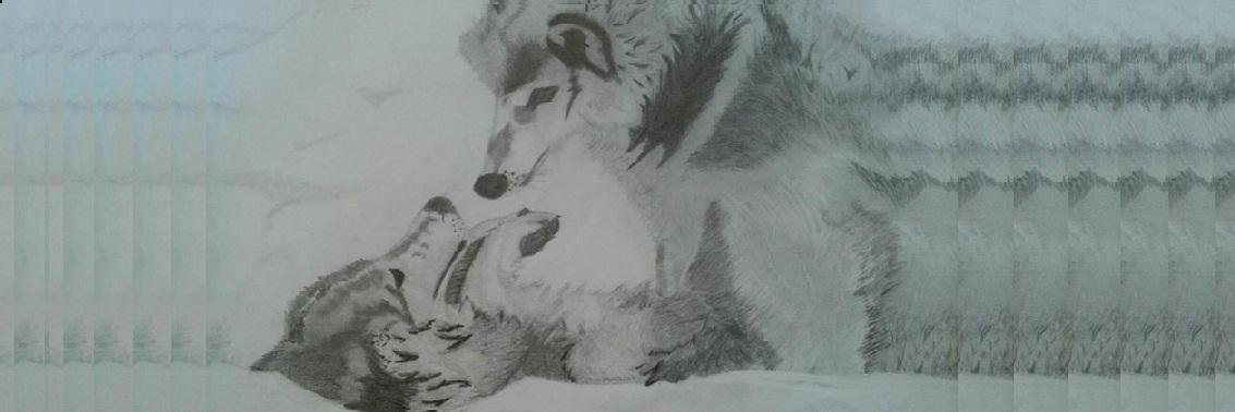 VictimAndKiller's profile banner image