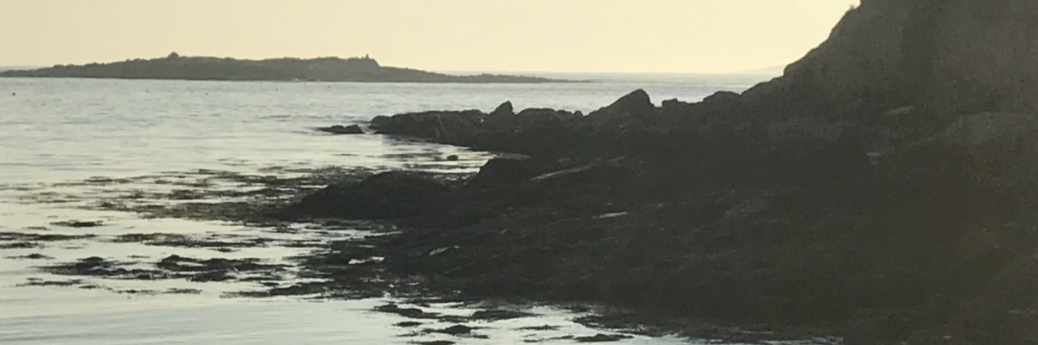 oldanime's profile banner image